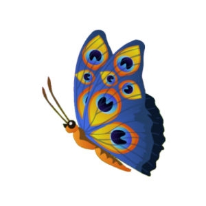 Blue Peacock Butterfly